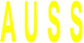 A U S S