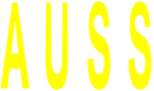 A U S S