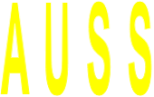 A U S S